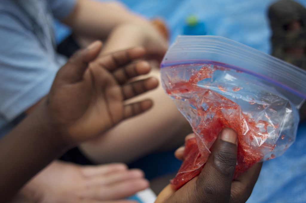 A Biblical Rationale for Creation Care: Care for the&nbsp;Environment