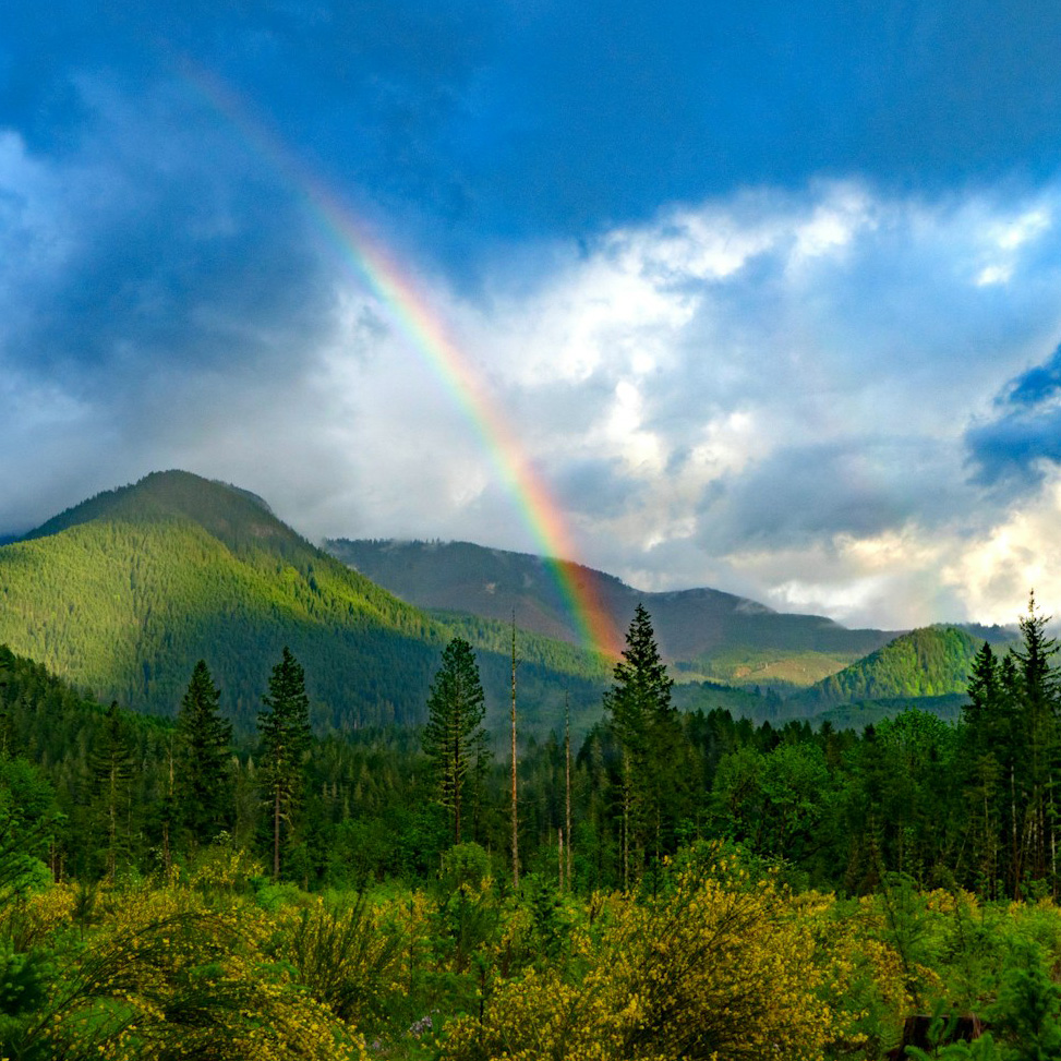 The Meeting Place: On Embracing&nbsp;Dissonance