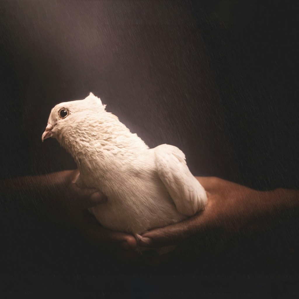 Praise, Peacemaking & Restorative&nbsp;Justice